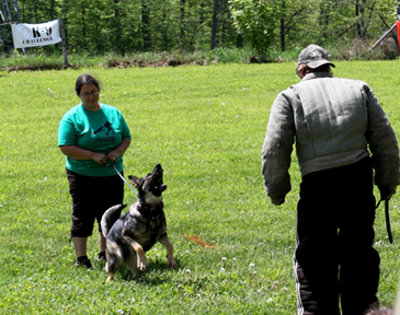 Rossa van den Heuvel IPO1 german shepherds Khaleesi pat riley SDA backwoods k9